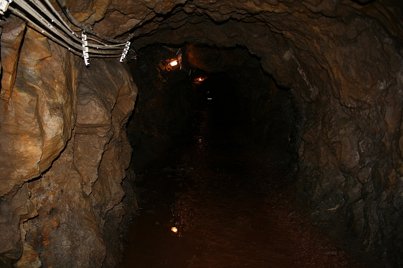 a 351